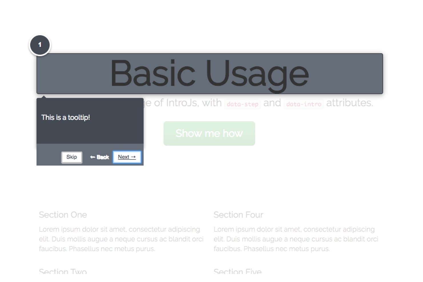 Intro.js dark theme tooltip overlay with Skip, Back, and Next buttons.