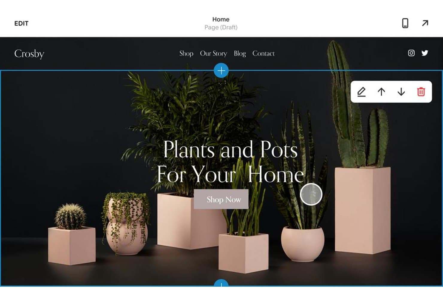 Squarespacen verkkosivustoeditori, jossa näkyy kasvikaupan etusivu luonnostilassa.