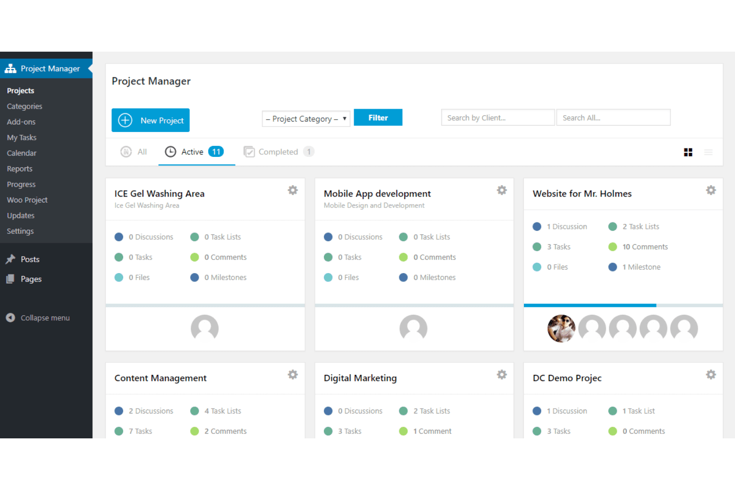 WP Project Manager screenshot