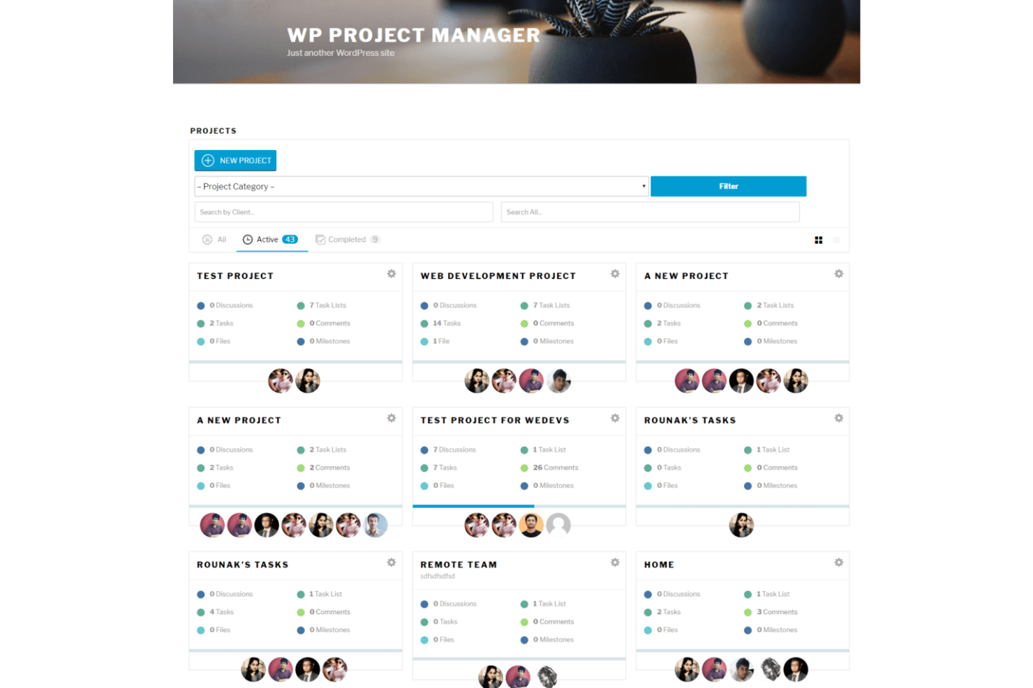 WP Project Manager screenshot