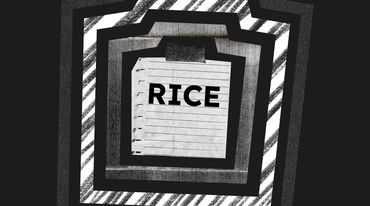 rice scoring model featured image