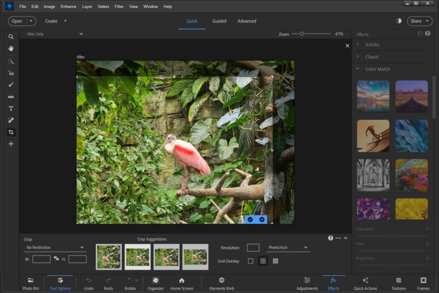 Adobe Photoshop Elements screenshot - 10 Migliori Alternative ad Adobe Photoshop Scelte per 2026