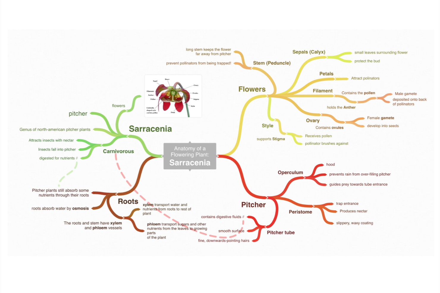Coggle screenshot - 10 beste online hulpmiddelen voor brainstormen in 2026