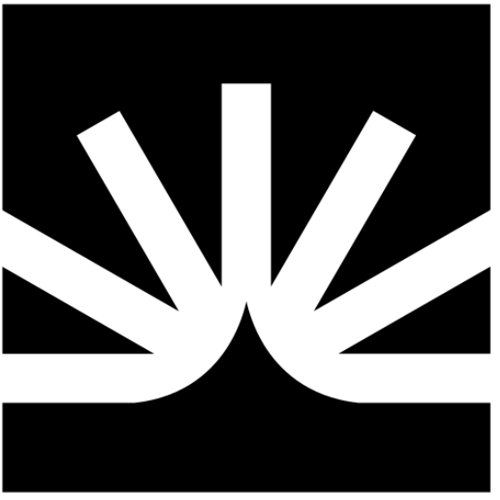 Fullstory Guides and Surveys