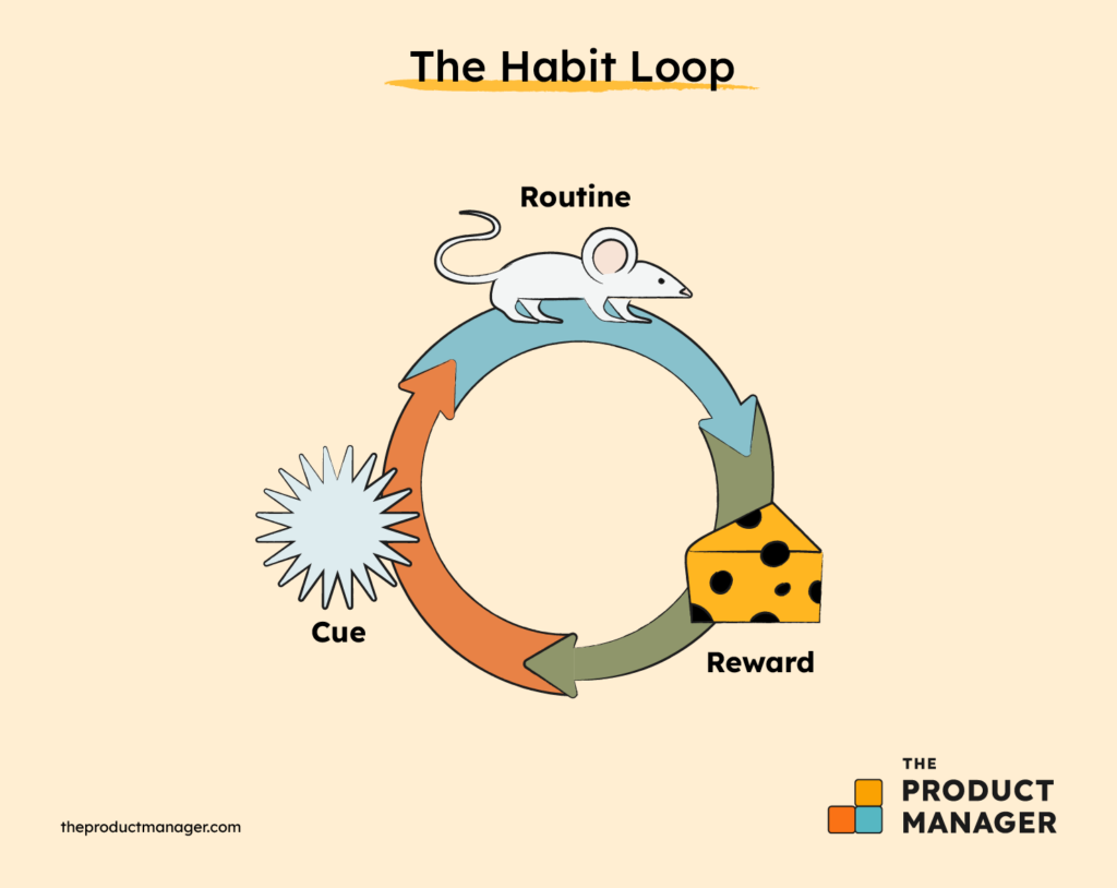 the habit loop infographic