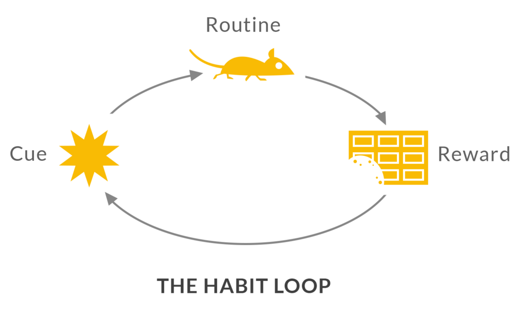 the habit loop