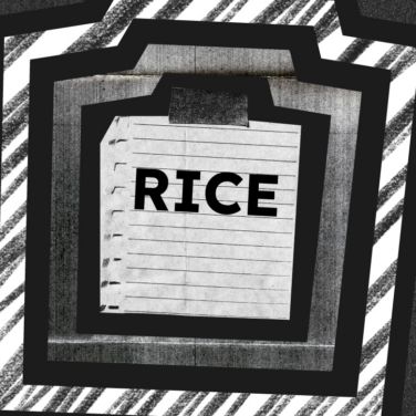 rice scoring model featured image