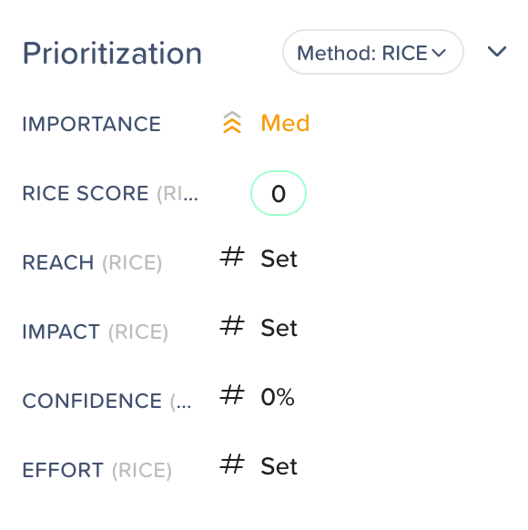 how to do a feasibility study rice method screenshot
