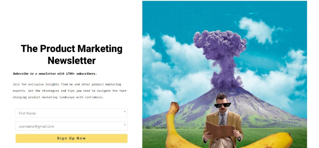 The Product Marketing Newsletter subscription page