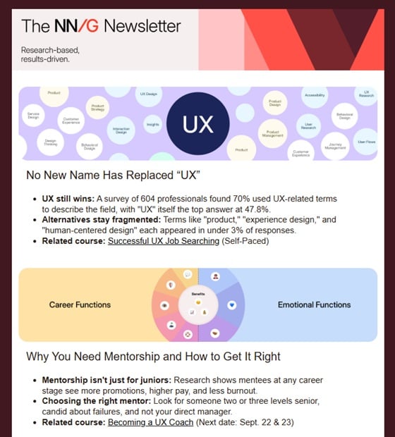 Screenshot eines Beispiel-Newsletters von NN/G